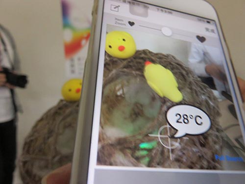 bird-nest-temp-measurement