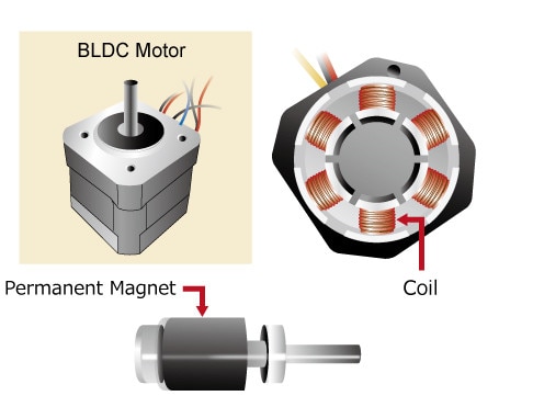 The Inside and Outside of a BLDC Motor.