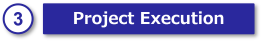 Project Execution