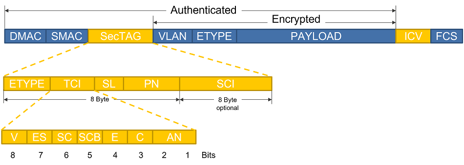 Figure3 MACsec frame format