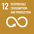 icon: 12-Responsible Consumption and Production