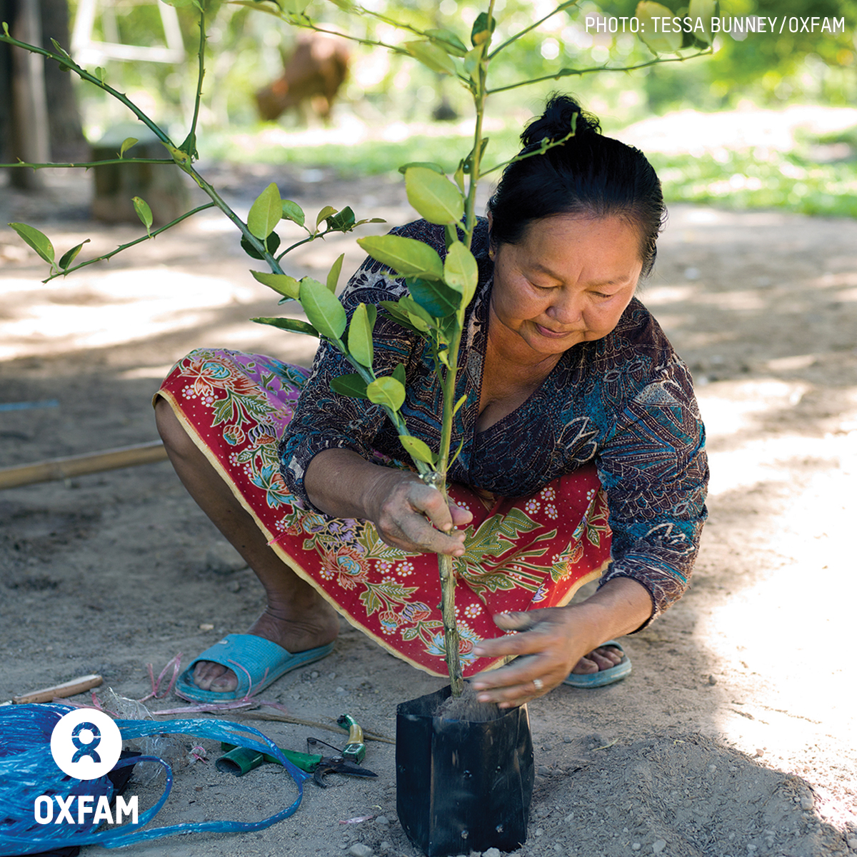 Tree Planting Initiative to Address Climate Change