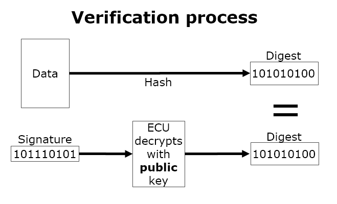 fig6 Verification process