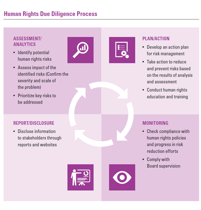 Human Rights Due Diligence Process
