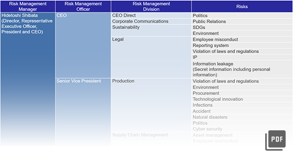 Renesas Risk Management System