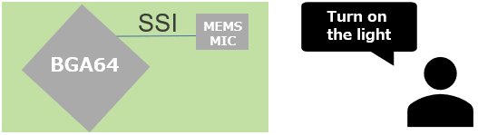 SSI Implementation