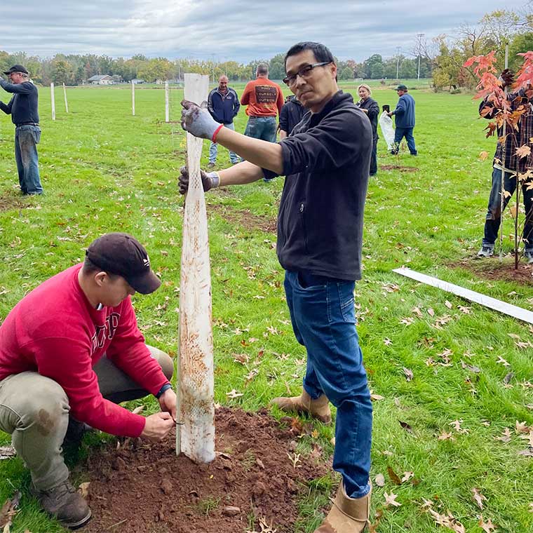Tree Planting for River Restoration