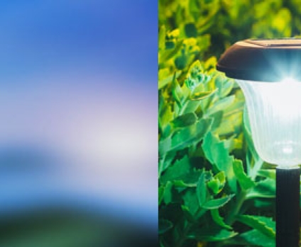 Renewable Energy / Green Environment