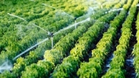 Renesas Initiatives in Smart Agriculture - Part 1