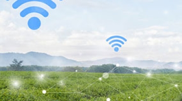 Smart Agriculture