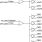 854S036 - Block Diagram