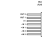 HS-139EH_HS-139RH Functional Diagram