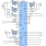 ISL95857A Functional Diagram
