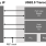 Block diagram for the USB 2.0 PHY for Multi-Port Transceiver IP using Samsung's 28nm FD SOI 8M technology.