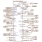 R-Car H3, M3 Development Board / Salvator-XS Block Diagram