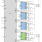 RAA220002 Functional Diagram