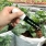 Smart Moisture Sensor Solution