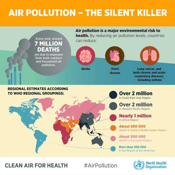 Air Pollution - The Silent Killer (WHO)