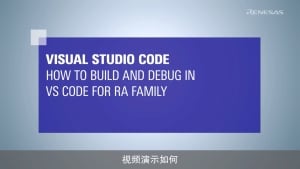 Visual Studio Code: 如何构建和调试 RA 项目