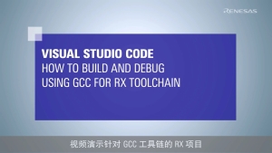 Visual Studio Code: 如何构建和调试 RX 项目