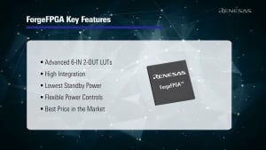 ForgeFPGA Low-density FPGAs Overview