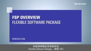 灵活软件包 (FSP) 概述