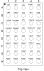 RA9520 - Pin Assignment