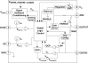 iW1781 Functional Block Diagram