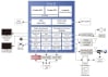 R-Car E3 Cockpit System for Entry Car Block Diagram