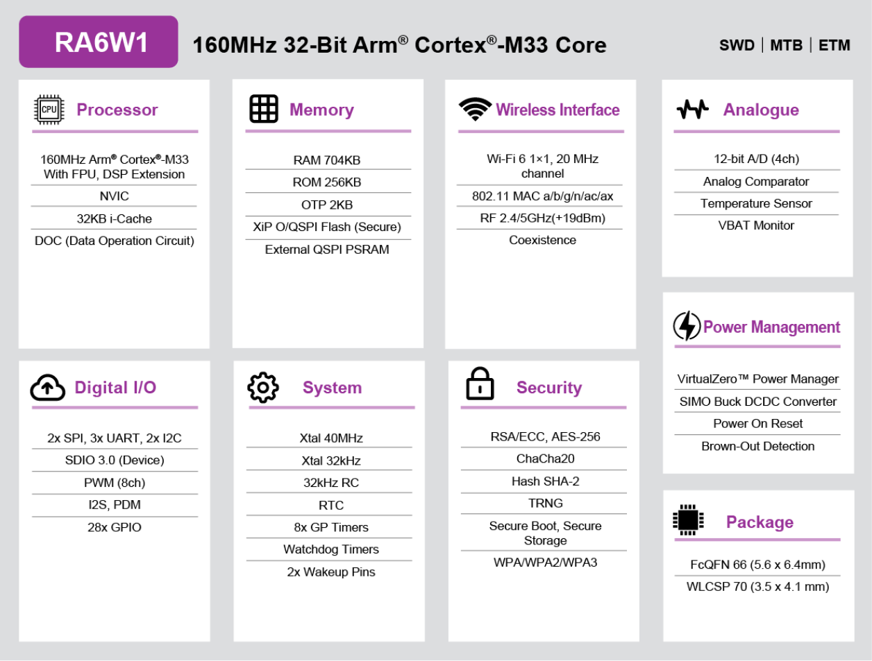 RA6W1 Block Diagram