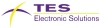 TES Electronic Solutions GmbH Logo