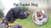 Connected Pet Tracker Blog