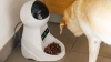 Smart Pet Feeder