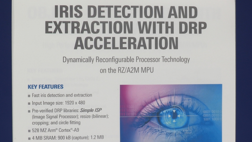 Iris Detection and Extraction with DRP Acceleration 