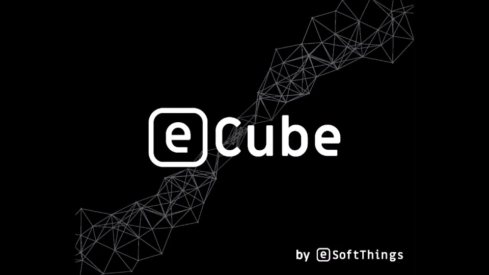 eCube Detection & Tracking SW (eSoftThings)